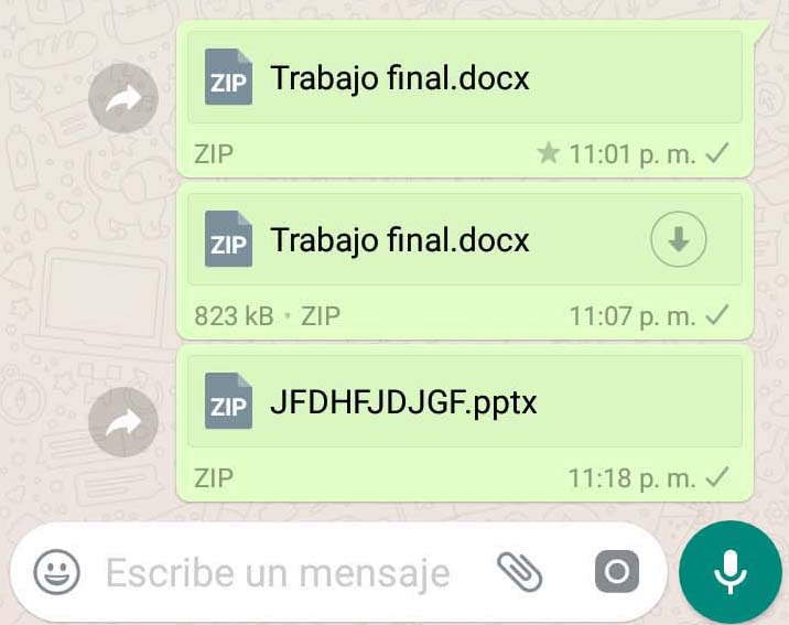 Данные авторизации